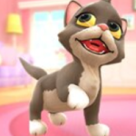 Play Crazy Kitty 3D