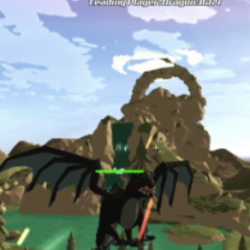 Play Dragon IO