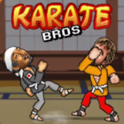 Play Karate Bros